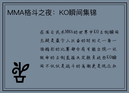 MMA格斗之夜：KO瞬间集锦